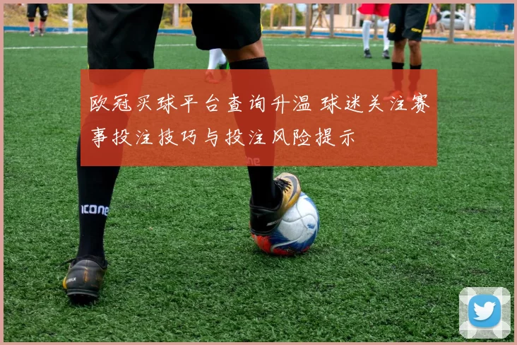 欧冠买球平台查询升温 球迷关注赛事投注技巧与投注风险提示