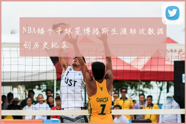 NBA矮个子球星博格斯生涯助攻数据创历史纪录