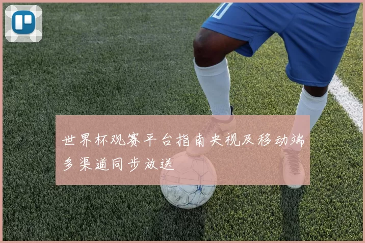 世界杯观赛平台指南央视及移动端多渠道同步放送