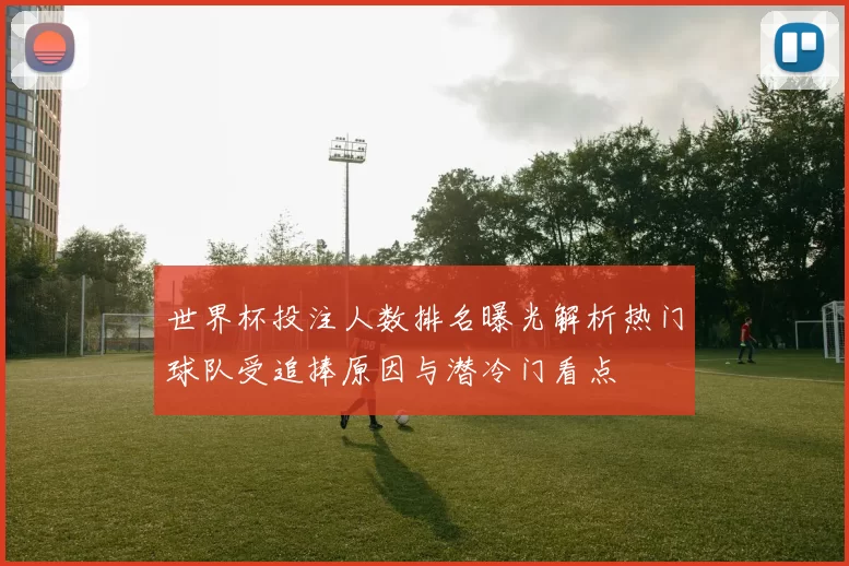 世界杯投注人数排名曝光解析热门球队受追捧原因与潜冷门看点