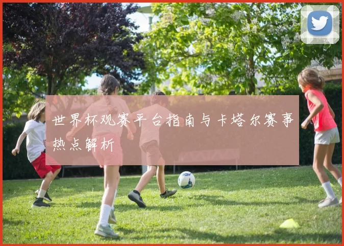 世界杯观赛平台指南与卡塔尔赛事热点解析