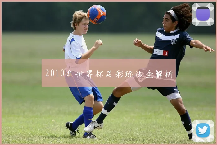 2010年世界杯足彩玩法全解析